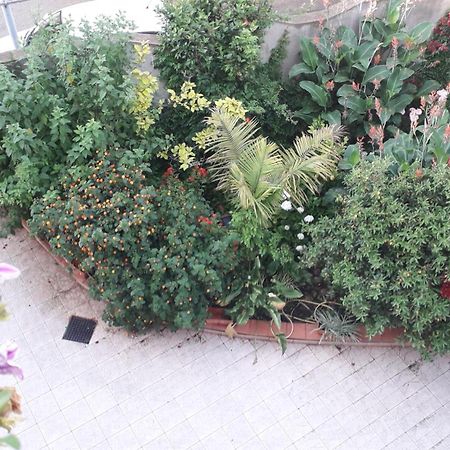 Bed And Breakfast Le Petunie Bari Sardo Luaran gambar