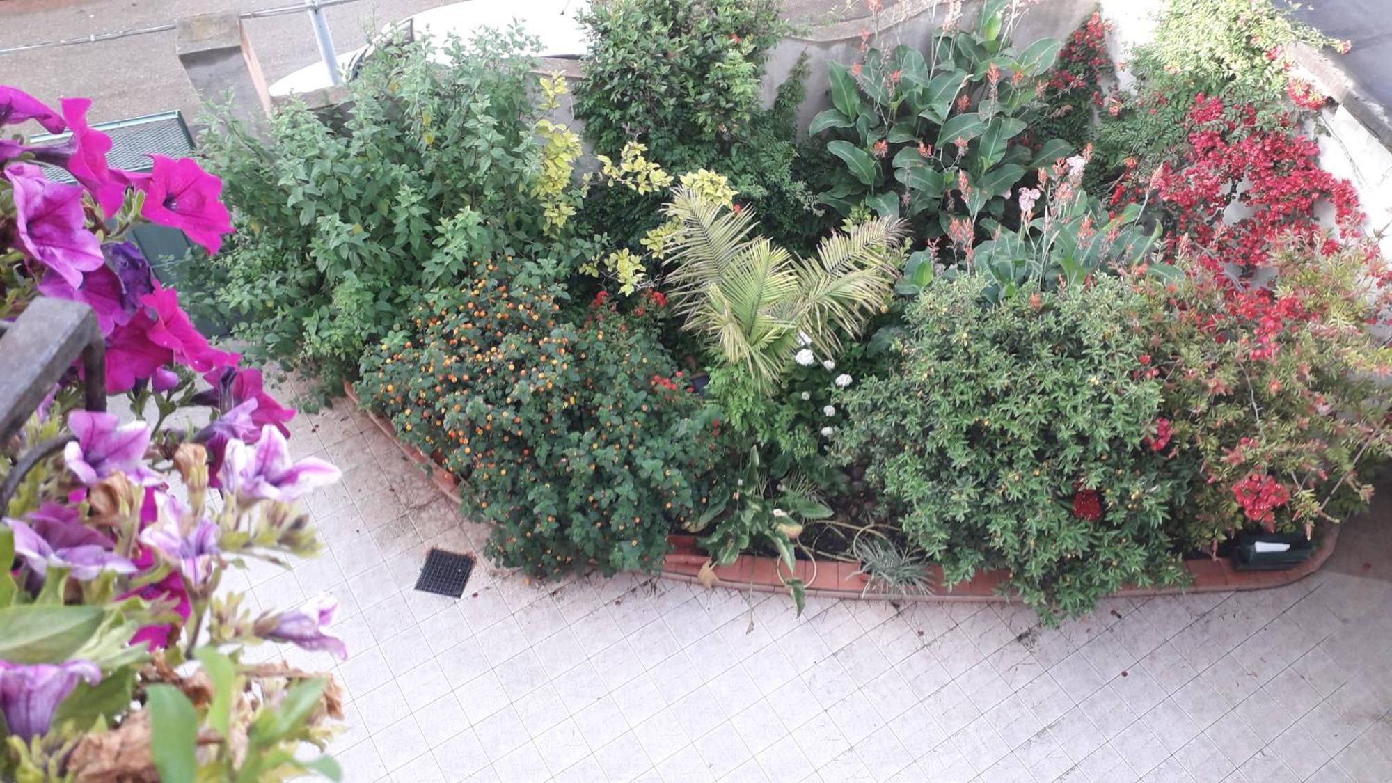 Bed And Breakfast Le Petunie Bari Sardo Luaran gambar